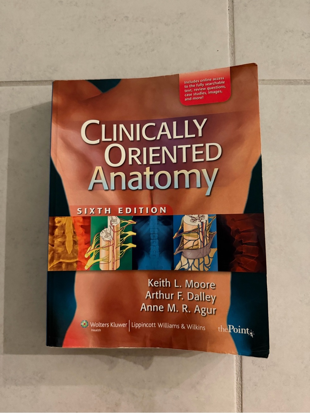 Clinically Oriented Anatomy Sixth Edition - by Moore, Dalley, Agur